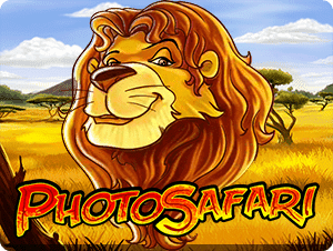 Photo Safari