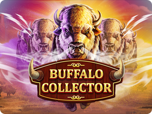 Buffalo Collector