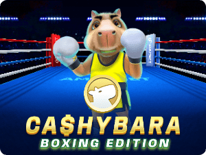 Cashybara Boxing Edition