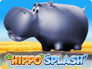 Hippo Splash