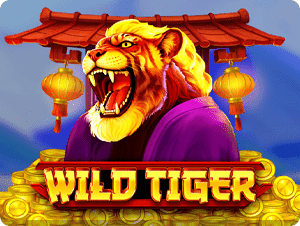 Wild Tiger