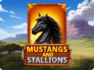 Mustang and Stallions