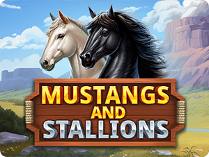 Mustang and Stallions