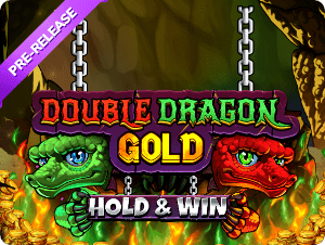 Double Dragon Gold: Hold & Win