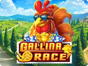 Gallina Race