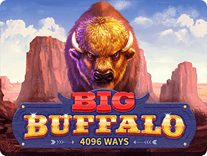 Big Buffalo