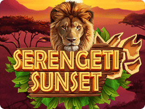 Serengeti Sunset