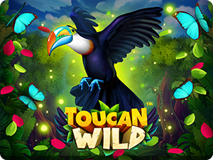 Toucan Wild