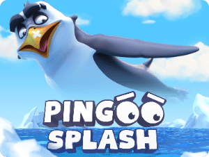 Pingoo Splash
